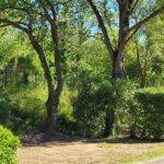 Camping Du Val De Cesse - Bild 9