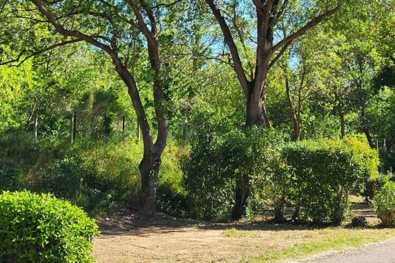 Camping Du Val De Cesse - Bild 9