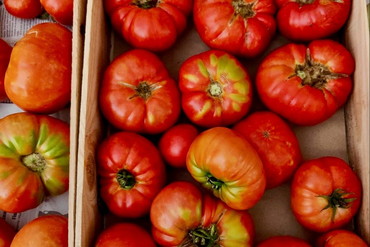 Camping Du Vignal - Bild 20 Camping Du Vignal - Bild 20