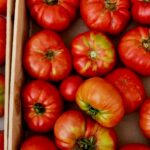 Camping Du Vignal - Bild 20 Camping Du Vignal - Bild 20