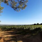 Camping Du Vignal - Bild 6 Camping Du Vignal - Bild 6