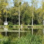 Camping Du Vivier Aux Carpes - Bild 11