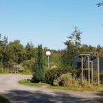Camping Du Vivier Aux Carpes - Bild 12