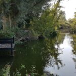 Camping Du Vivier Aux Carpes - Bild 13