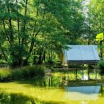 Camping Eco Responsable La Fougeraie - Bild 5 Camping Eco Responsable La Fougeraie - Bild 5