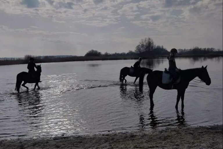 Camping Eefting - Bild 5