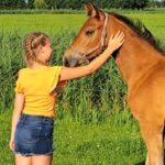 Camping Eefting - Bild 6