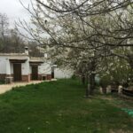 Camping El Balcón De Pitres - Bild 2