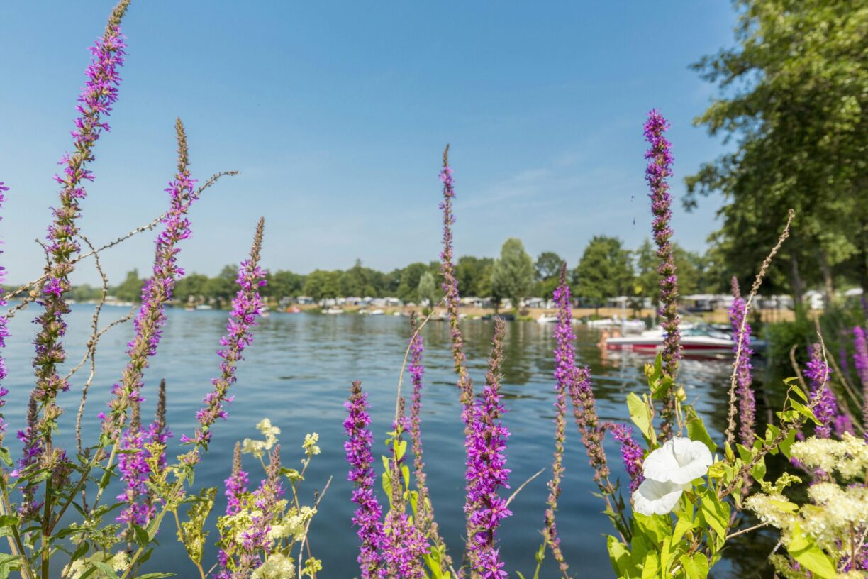 Camping Eldorado - Bild 14 Camping Eldorado - Bild 14