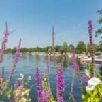 Camping Eldorado - Bild 14 Camping Eldorado - Bild 14