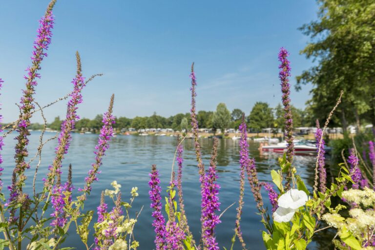 Camping Eldorado - Bild 14 Camping Eldorado - Bild 14