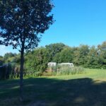 Camping Emmen - Bild 11