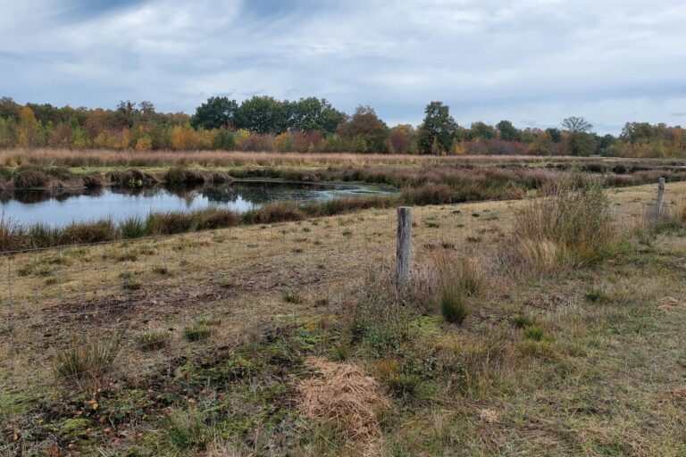 Camping Emmen - Bild 3