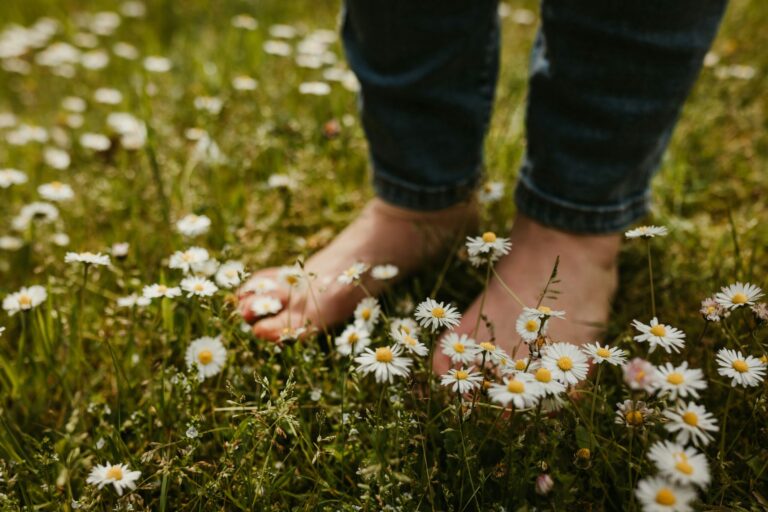 Camping Emstal - Bild 11 Camping Emstal - Bild 11