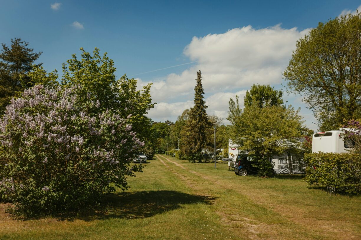 Camping Emstal - Bild 20 Camping Emstal - Bild 20