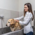 Camping Essenza Alpina - Bild 8