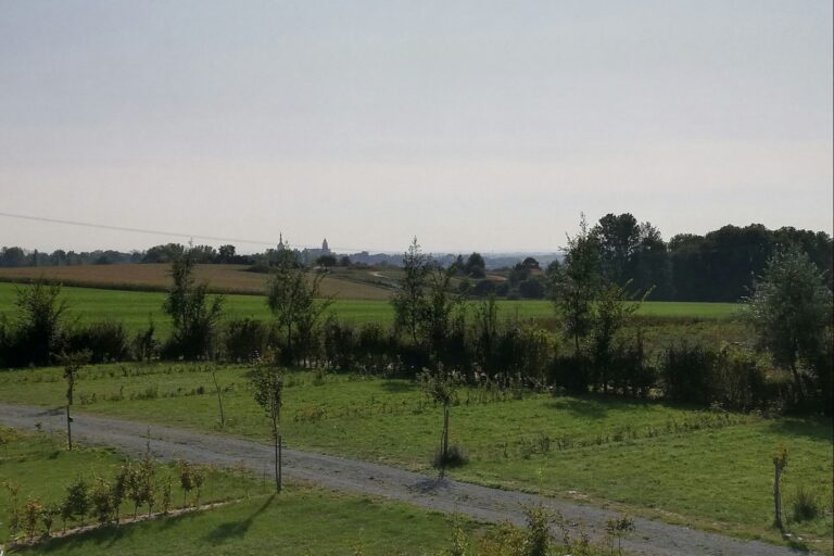 Camping Ferme Des Saules - Bild 18