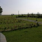 Camping Ferme Des Saules - Bild 19