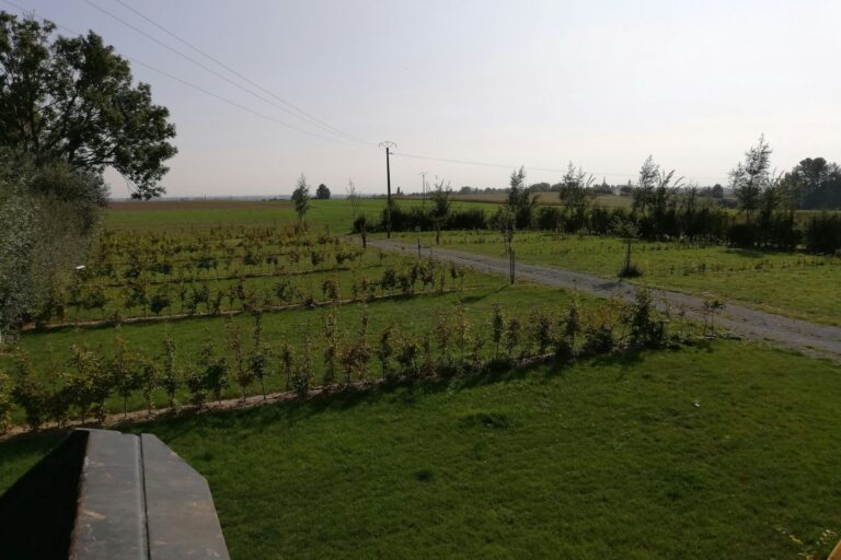 Camping Ferme Des Saules - Bild 19