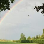 Camping Ferme Pédagogique De Prunay - Bild 17 Camping Ferme Pédagogique De Prunay - Bild 17