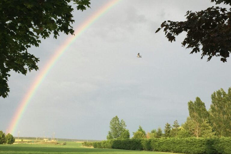 Camping Ferme Pédagogique De Prunay - Bild 17 Camping Ferme Pédagogique De Prunay - Bild 17