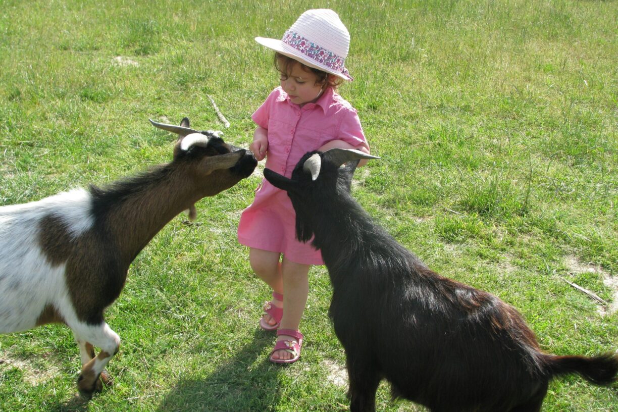 Camping Ferme Pédagogique De Prunay - Bild 18 Camping Ferme Pédagogique De Prunay - Bild 18