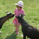 Camping Ferme Pédagogique De Prunay - Bild 18 Camping Ferme Pédagogique De Prunay - Bild 18