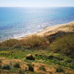 Village Camping Fico D'india - Bild 1 Village Camping Fico D'india - Bild 1