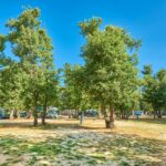 Camping Finida - Bild 10