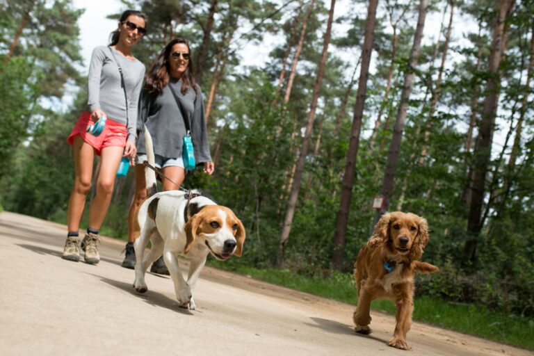 Camping Floreal Kempen - Bild 10