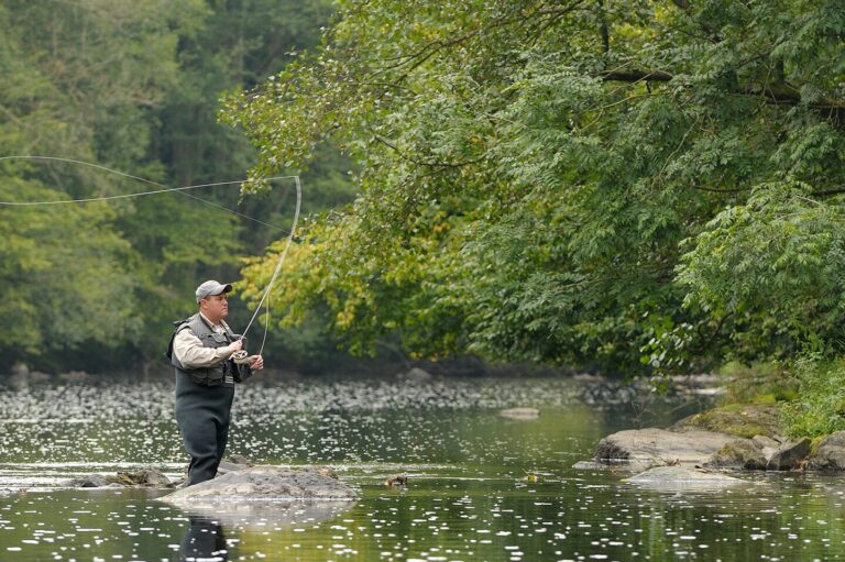Camping Floreal La Roche En Ardenne - Bild 2