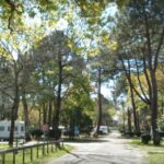 Camping Fontaine Vieille - Bild 1