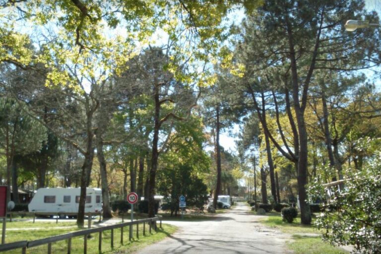 Camping Fontaine Vieille - Bild 1 Camping Fontaine Vieille - Bild 1