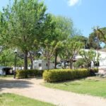 Camping Globo Barcelona - Bild 3