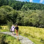 Camping Goudal - Bild 9