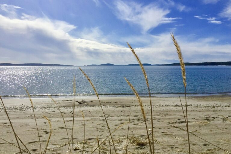 Camping Gullviks Havsbad - Bild 6