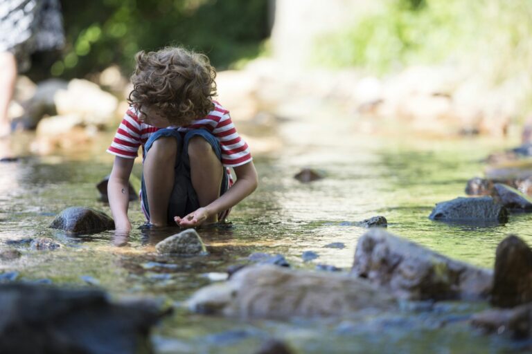 Camping Harfenmühle - Bild 10 Camping Harfenmühle - Bild 10