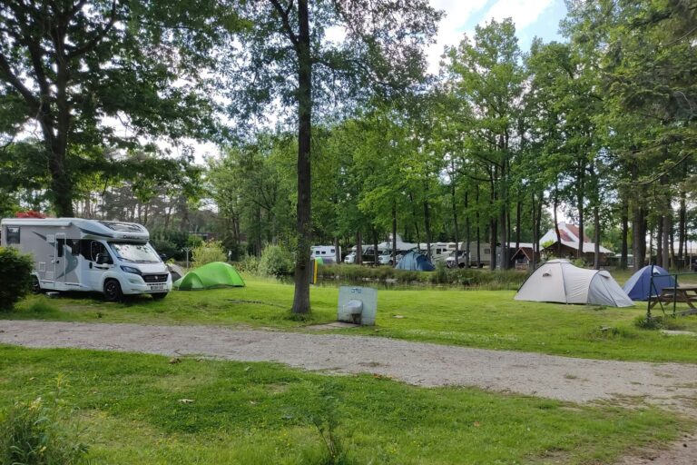 Camping Het Swinnenbos - Bild 7