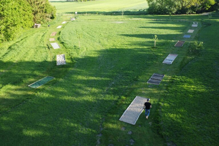 Camping Hümmlinger Land - Bild 5