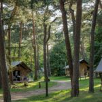 Huttopia De Veluwe - Bild 1