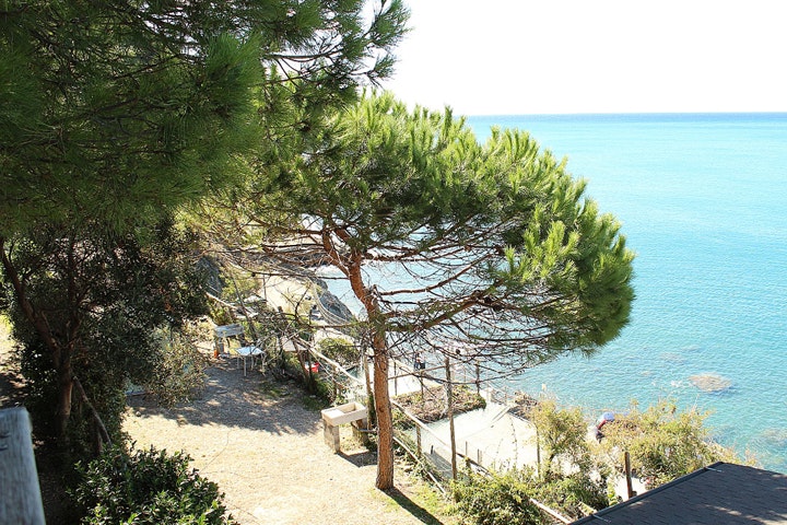 Camping Il Rospo - Bild 2 Camping Il Rospo - Bild 2