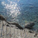 Camping Il Rospo - Bild 3 Camping Il Rospo - Bild 3