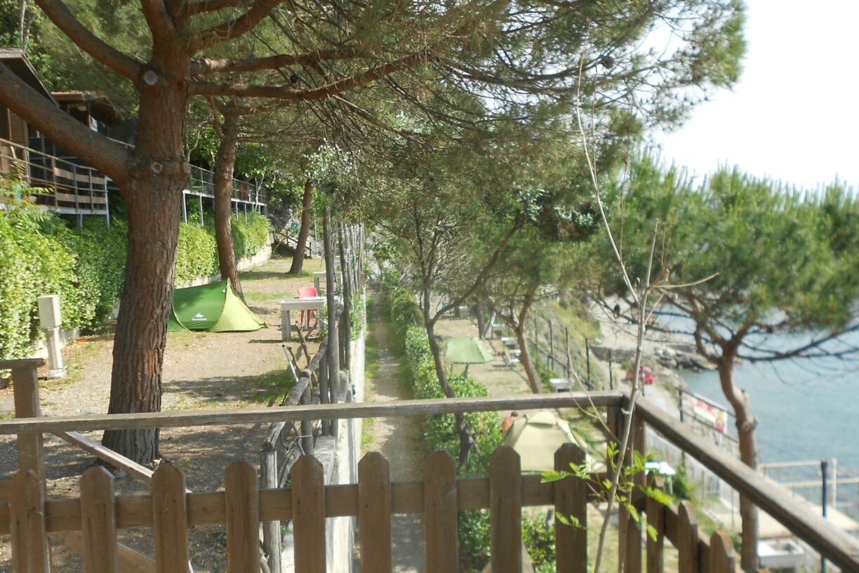 Camping Il Rospo - Bild 5 Camping Il Rospo - Bild 5