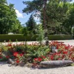 Camping Ile De Boulancourt - Bild 13