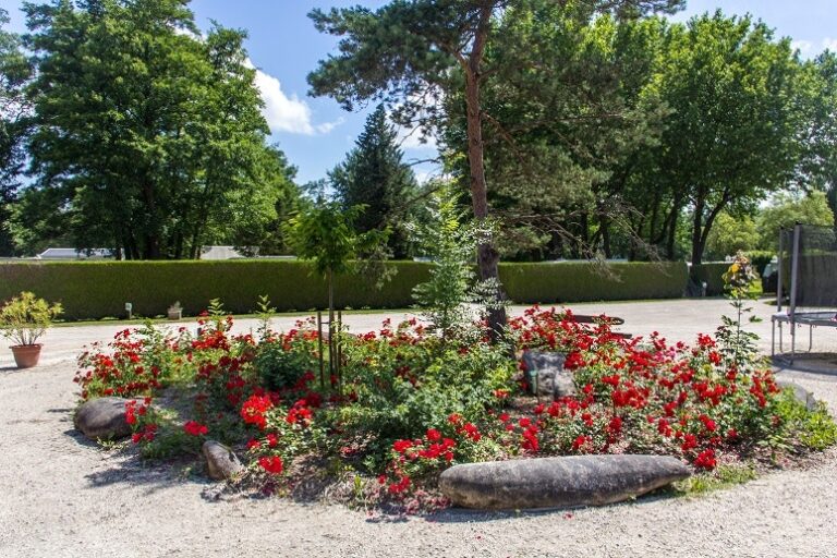 Camping Ile De Boulancourt - Bild 13