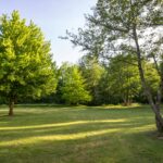 Camping Ile De Boulancourt - Bild 4