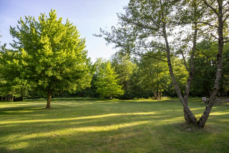 Camping Ile De Boulancourt - Bild 4