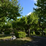 Camping International - Bild 2 Camping International - Bild 2