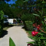 Camping International - Bild 3 Camping International - Bild 3