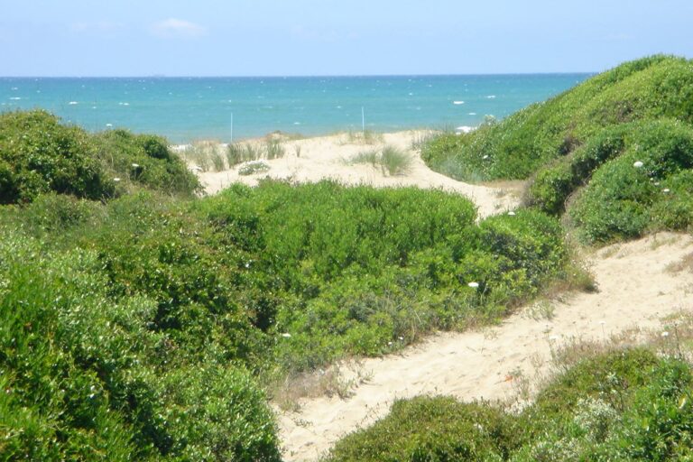 Camping Internazionale Di Castelfusano - Bild 4